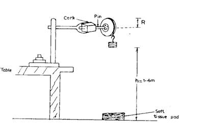 physpaper3diagram01