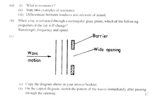 the wave essay questions